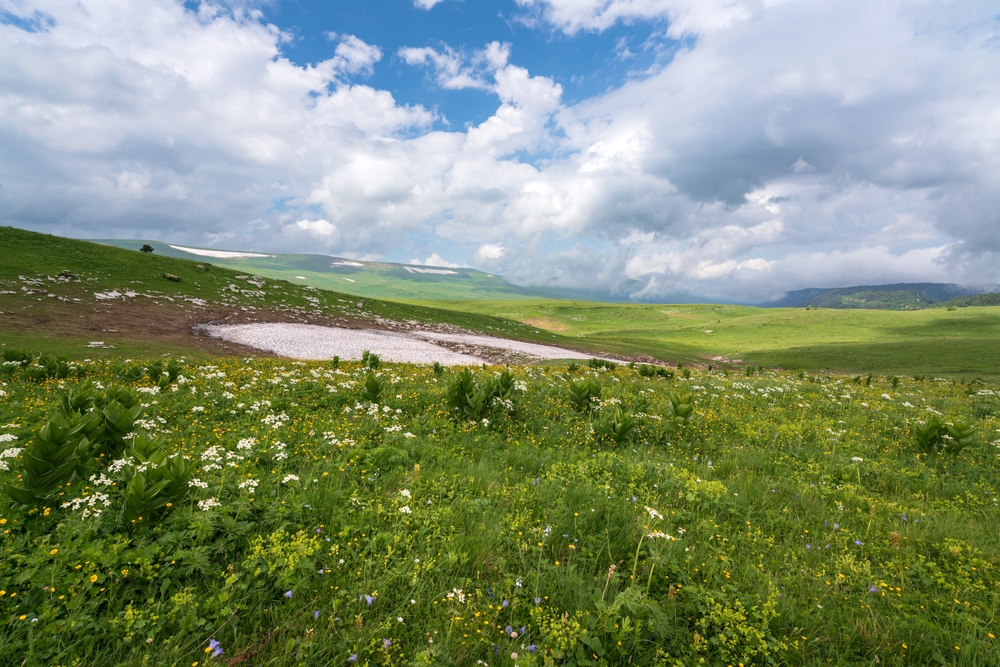 Адыгея: Экспертный путеводитель по Республике гор, водопадов и адыгейского сыра