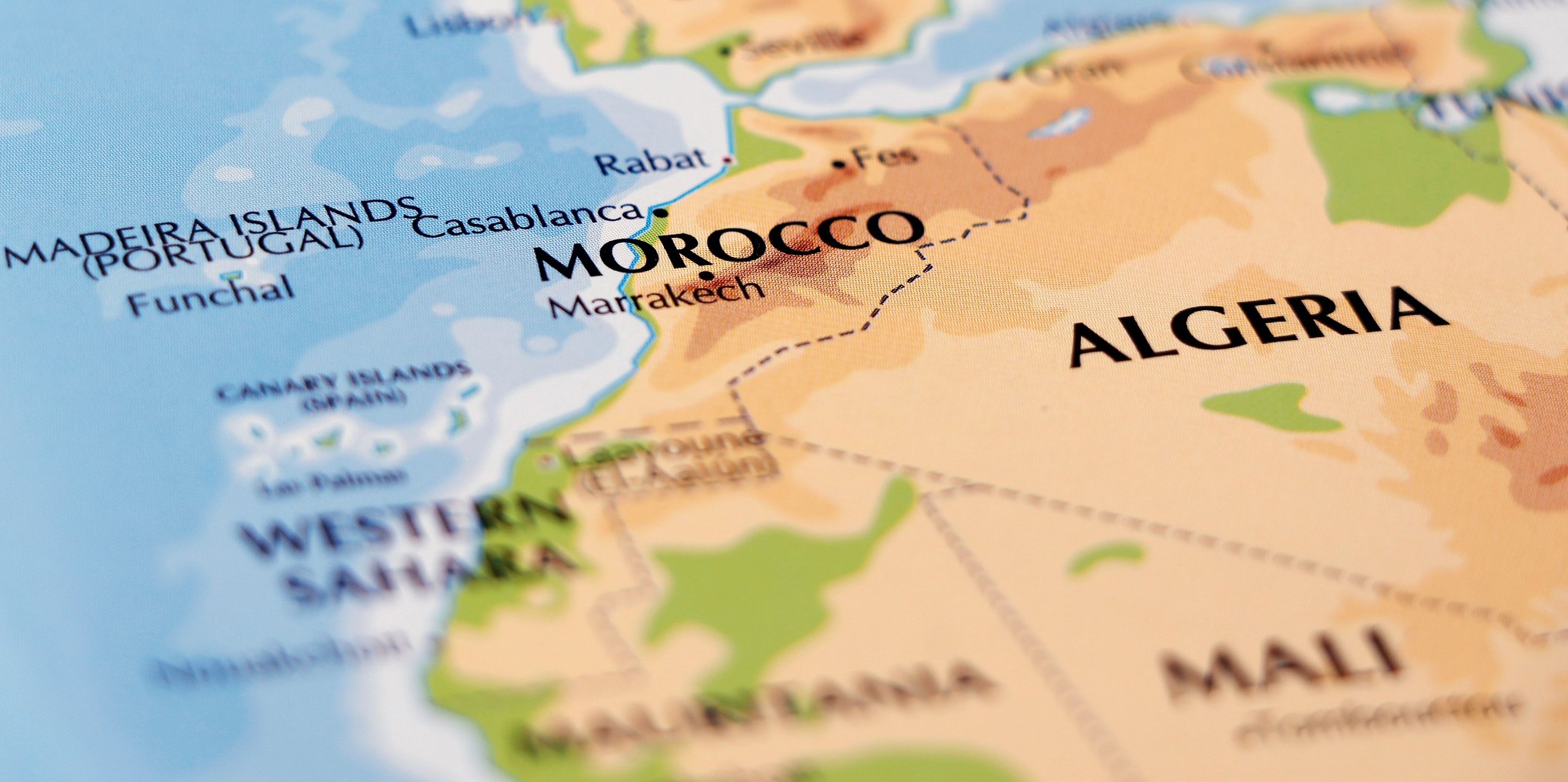 Отдых в Алжире - что нужно знать при путешествии в Алжир