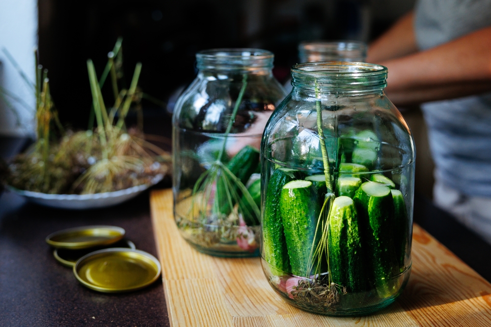 Топ-5 рецептов огурцов на зиму: хрустящие, ароматные